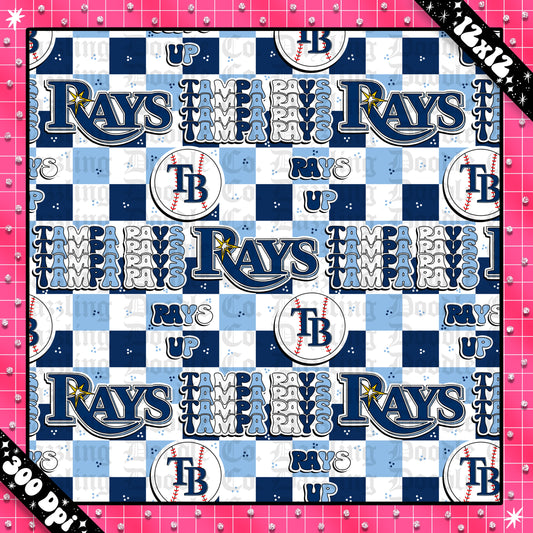 Baseball Team